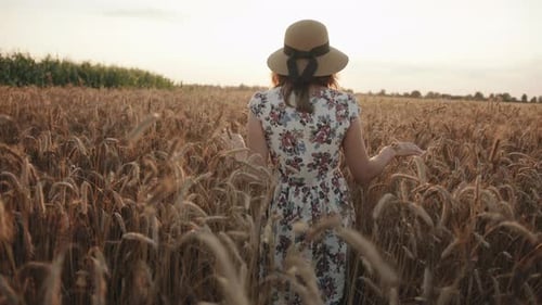 A Young Girl in a Straw Hat Goes Across a Wheat Field in the Rays Sun