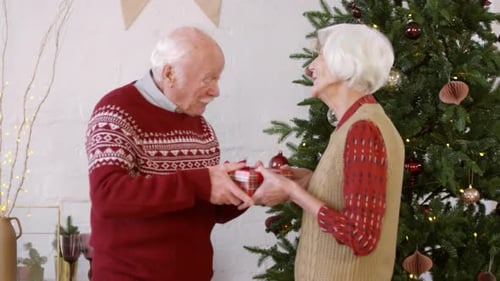 Loving Senior Couple Exchanging Christmas Gift at Home