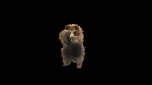 184 Bear StandingMagic Attack HD