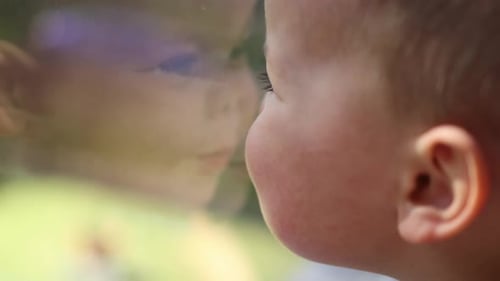 Portrait Face Caucasian Kid Child Boy Looking Through Window Warm Sunny Day