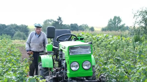 Un fermier senior entre dans son minitracteur vert sur une jeune plantation de vignoble