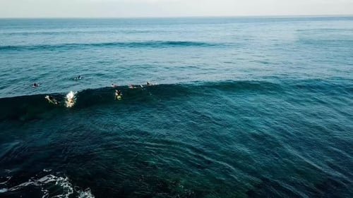 surf spot with active men surfers and waves from ocean power - vacation scenic place