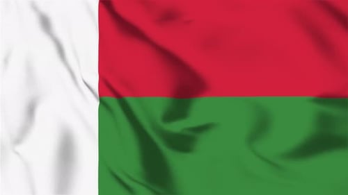 Madagascar Flag Realistic Waving Animation Seamless Loop