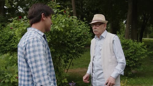 An Old Man Met His Son in the Park