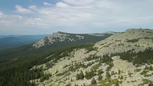 Beautiful mountain and forest of coniferous trees