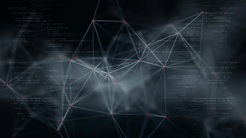 Information Data Network Connection