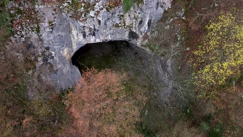 Flying Above a Monumental Cave Entrance Among Trees