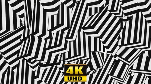 Fondo Zebra 4K