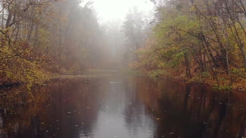Fog Over the Lake in the Autumn Park