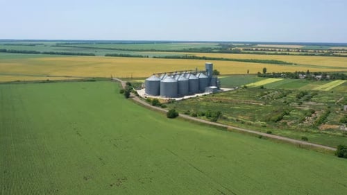 Modern Grain Silos At The Field Of Golden Wheat 11