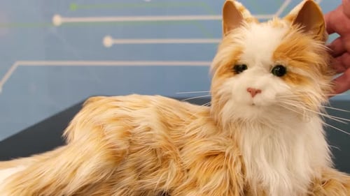 Human Hand Stroking a Lying Robot Cat