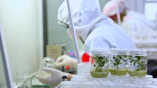 Plant Laboratory