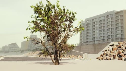 Empty Beach Car Park Spaces Covered in Asphalt