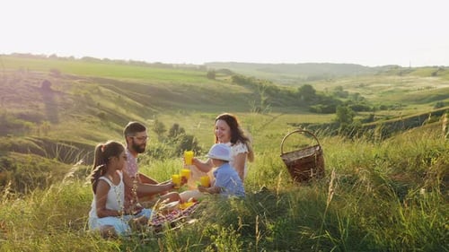 Family Picnic on a Hillside Meadow on Sunny Day