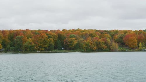 Autumn Trees Reflect on Calm Lake