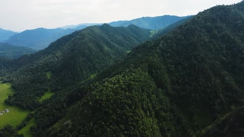 Many Mountains Covered with Green Trees