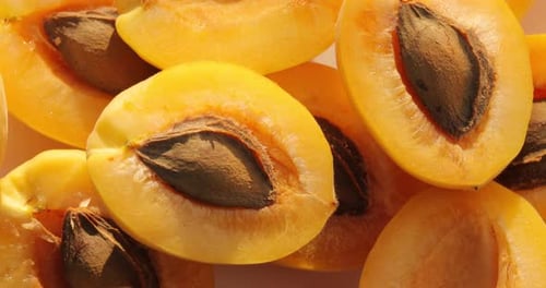 Fresh Apricot Halves with Pits in Sunny Close-up