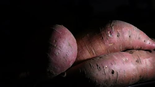 Studio Close Up of Fresh Sweet Potatoes