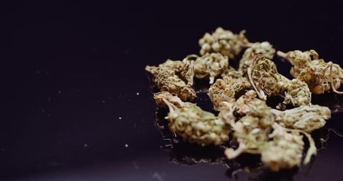 Close Up of Cannabis Rotating on Black Background.