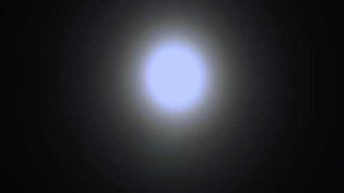 Moonlight Night Moon Branch Lamp Forest Tree Blue