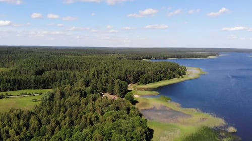 AERIAL (50 FPS): Flying Above Green Scenic Forest With Blue Lake