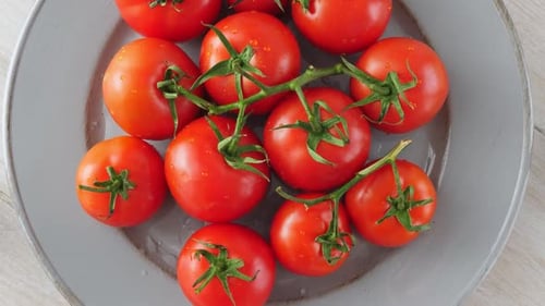 Rote reife Tomaten mit grünem Zweig auf Teller
