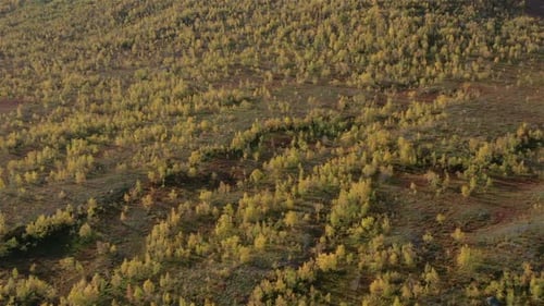 Mountain Side Aerial
