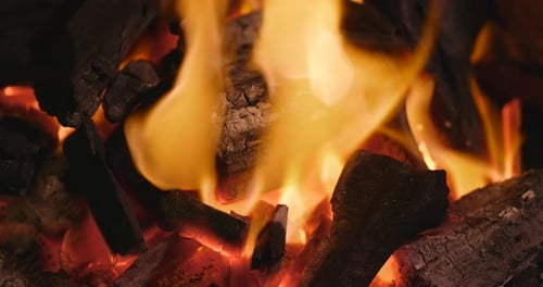 Burning Fireplace with Flames and Embers