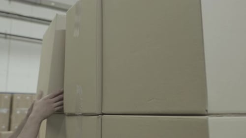 Worker Stacking Beige Boxes on Pallet in Warehouse