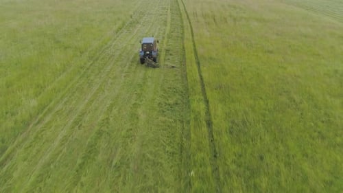 Tracteur tond l'herbe