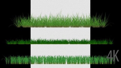 Bend, Patch and Wild Growing Grass