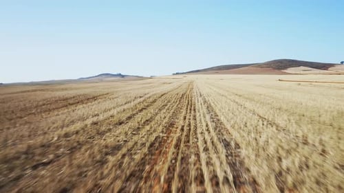 Drone Shot Hovering Above Land of Rice Field in Africa