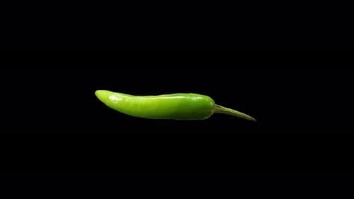 Realistic Green Chili Rotating With Alpha Channel