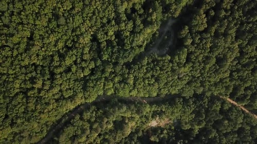 Aerial Top View of Caucasian Mountain Forest, Texture of Forest View From Above.