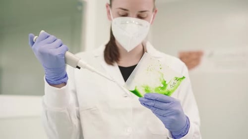Une chercheuse mesure la culture du fluide vert avec le pipeteur. Plan moyen