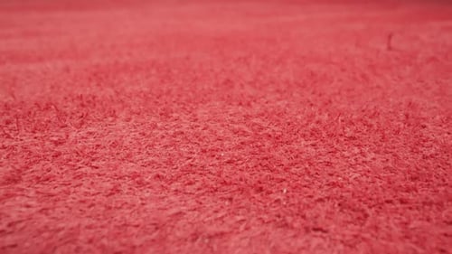 Textured Surface of Red Cow Leather Material Sheet