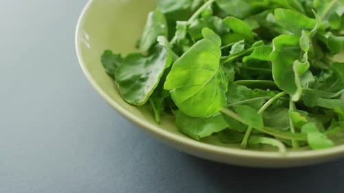 Vídeo de primer plano de tazón de hojas de ensalada fresca sobre fondo gris