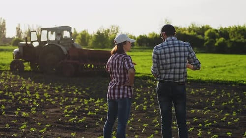 Discussion of Two Farmers in the Field