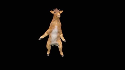 Funny 3D Animated Goat Dancing Character