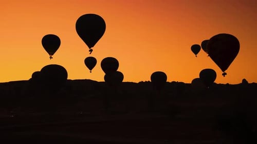Hot Air Balloons at Sunrise