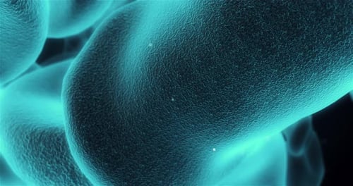 Microscopic View of an Organic Cell