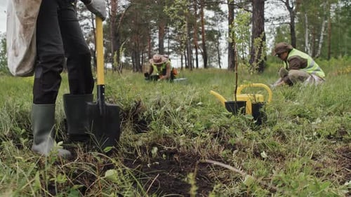 Gärtner gräbt im Wald