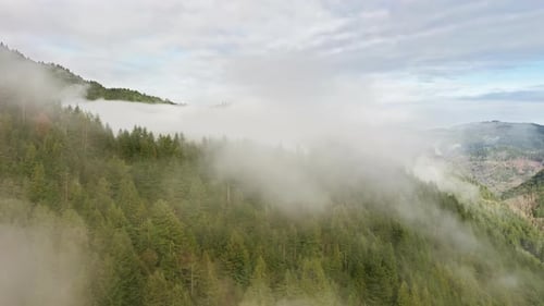 Green Mountain Range Covered in Ethereal Mist