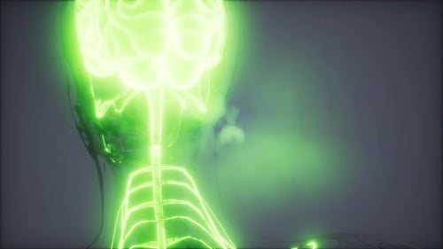 Futuristic Glowing Brain and Nervous System Medical Science Animation