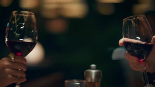 Couple Clinking Wine Glasses in Romantic Restaurant Bar