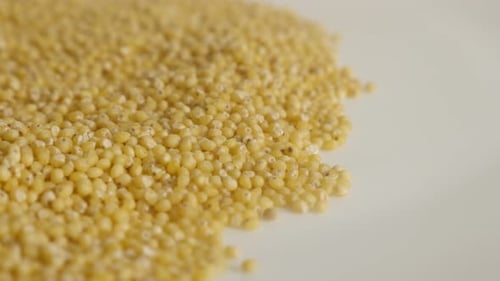 Frijoles amarillos de Panicum miliaceum slow tilt 4K 2160p 30 fps UltraHD metraje - Popular Proso millet o