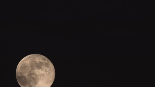 Moon