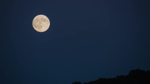 Mond