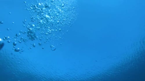 Bubbles Ascend in the Tranquil Turquoise Ocean