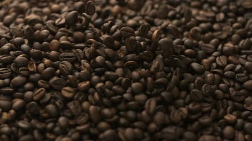 Roasted Coffee Beans Moving in Close Up